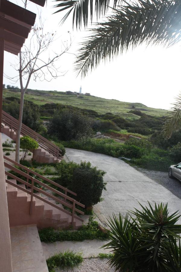 Ariadne Apt 103 -300M From Lighthouse Beach Pafos Exterior foto